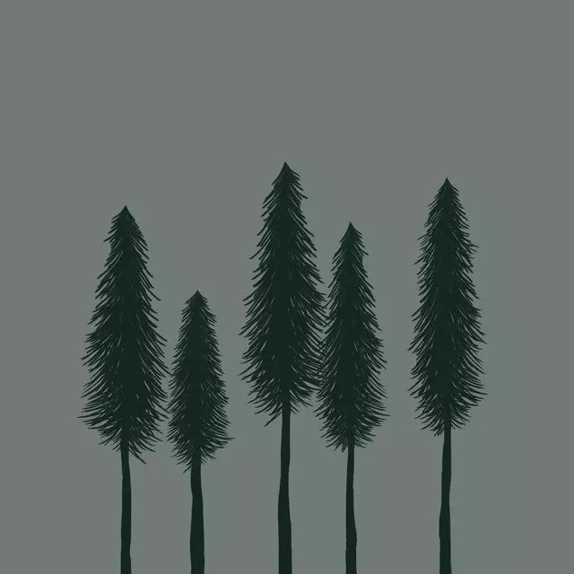Geschirrtücher Mørkegrøn Skov