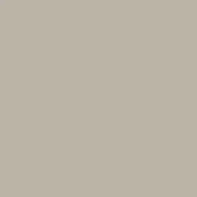 Beige dunkel