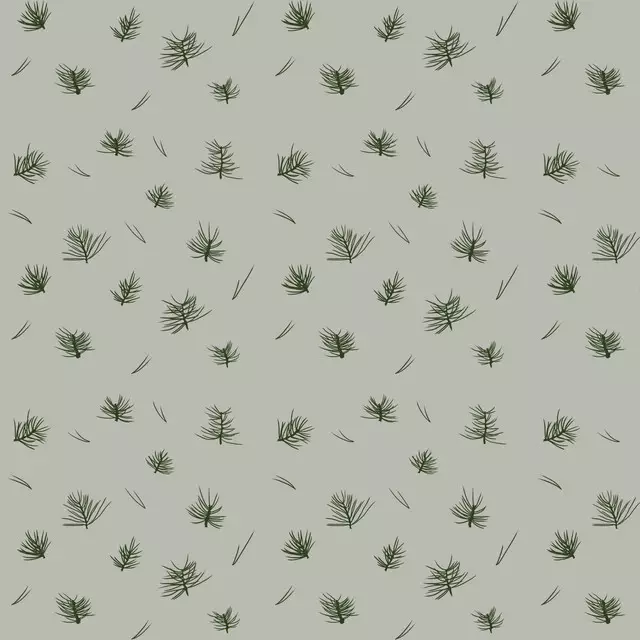 Pinien 3