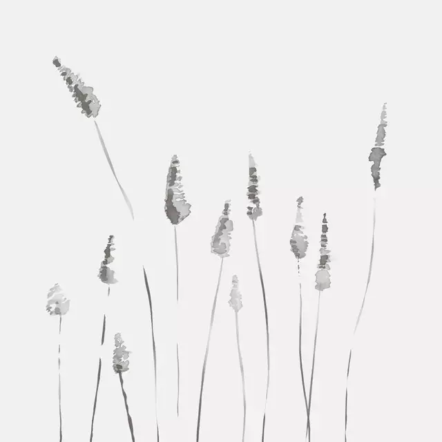 Kissen Gray Watercolor Reeds