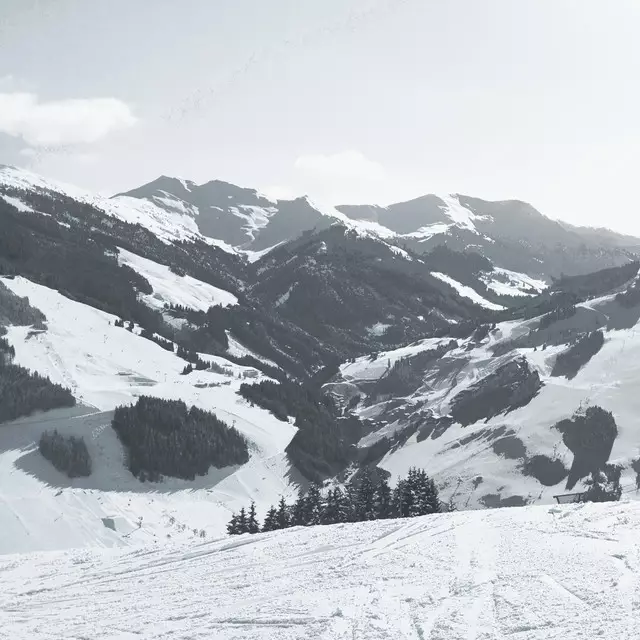 Servietten Bergblick schwarz-weiß