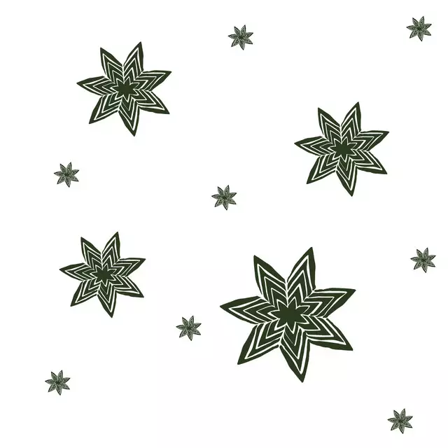 Geschirrtücher Adventssterne Grün