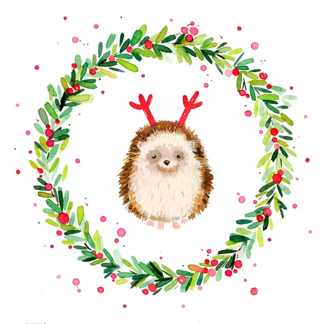 Bettwäsche XMAS Kranz Igel