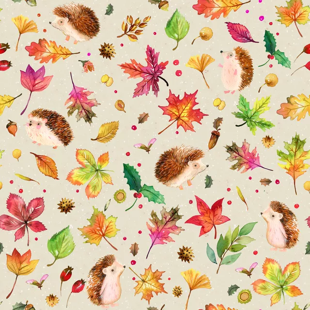 Igel Herbst Blätter