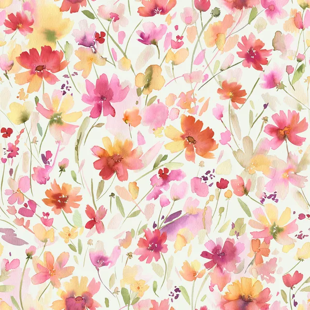 Spring Cosmos Wildflowers Pink