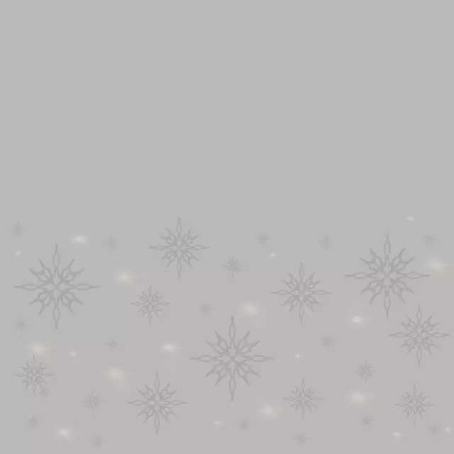 Kissen Schneeflocke