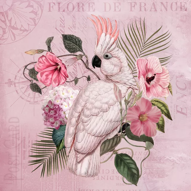 Kissen Cockatoo Nostalgia Pink