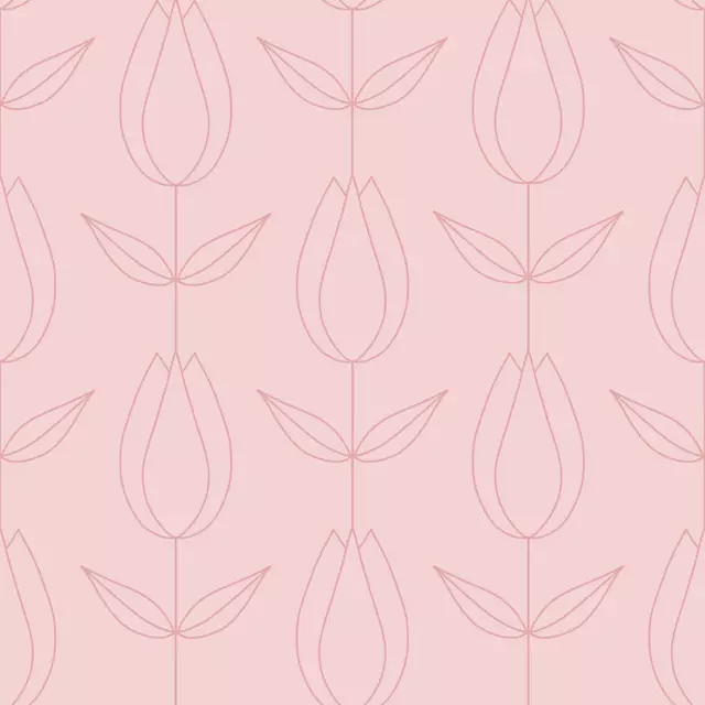Tulpe