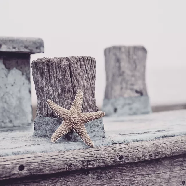 Tischset Seaside Impression
