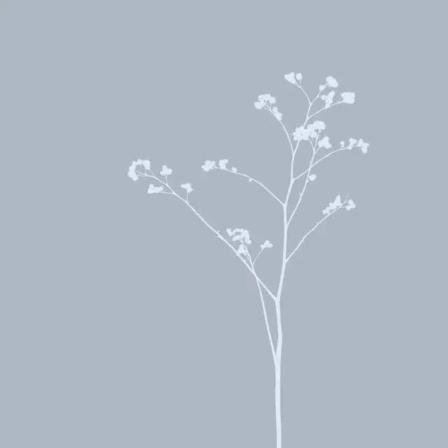 Kissen Wildblume Silhouette
