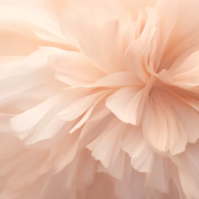 Kissen Bloom Brushwork Peach