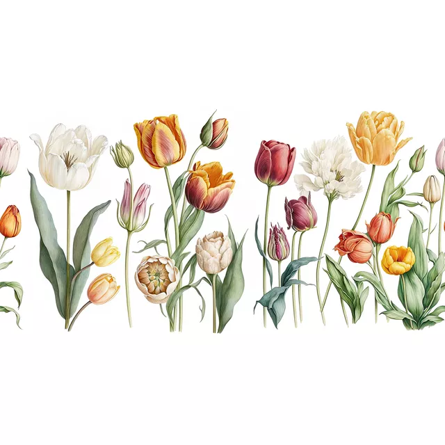 Tulpen Nostalgie weiß