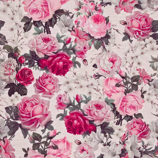 Rosa Rosentraum