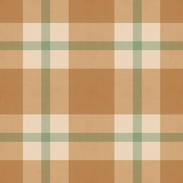 Dekovorhang Plaid Earth Colors