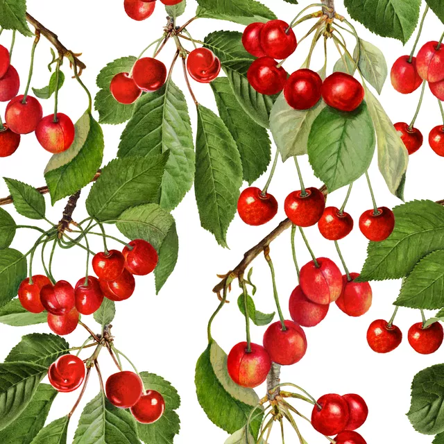 Kissen Summer Cherries Red
