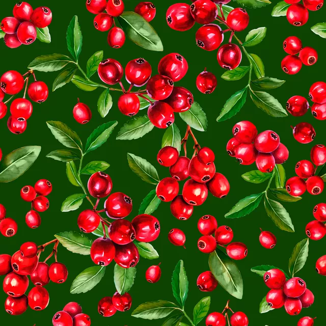 Kissen Cranberries Green