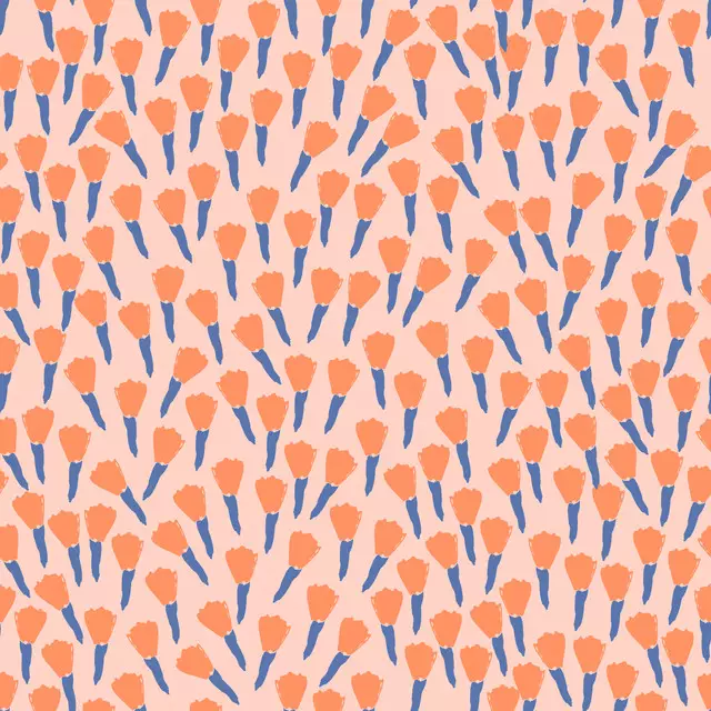 peachy tulips