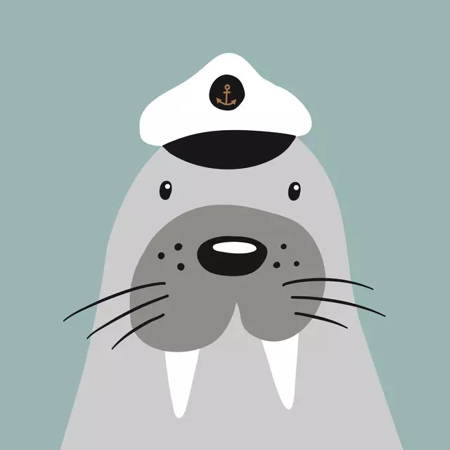 Kissen SEEHUND KAPITÄN LASSE (mint)
