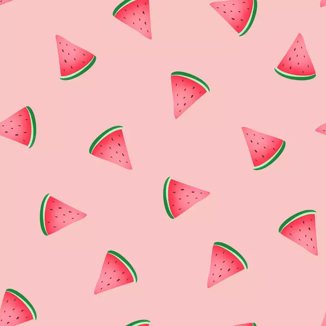 Bodenkissen Watermelon Summer Fruit