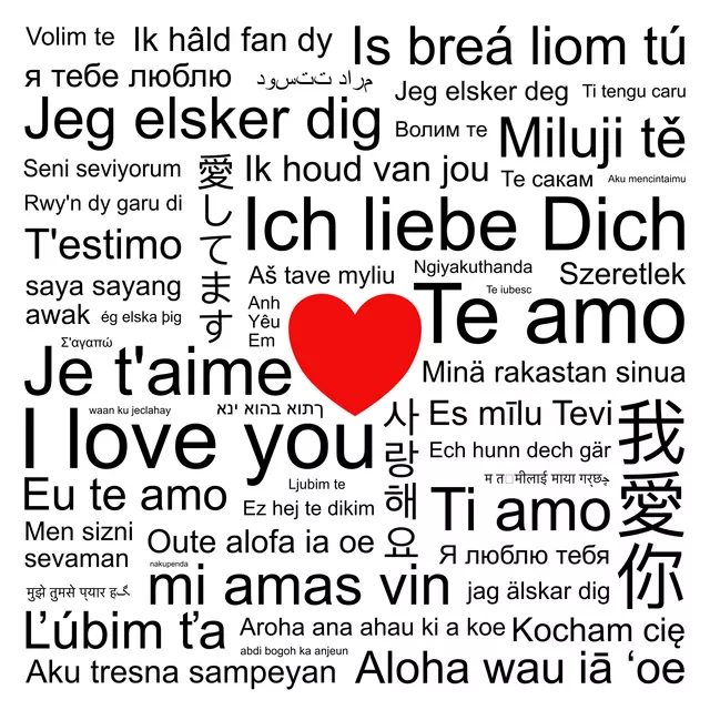 Kissen Ich liebe Dich ohne Grenzen