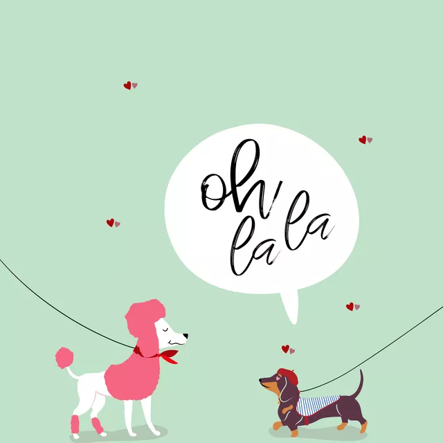 Kissen Oh la la Hundeliebe mint