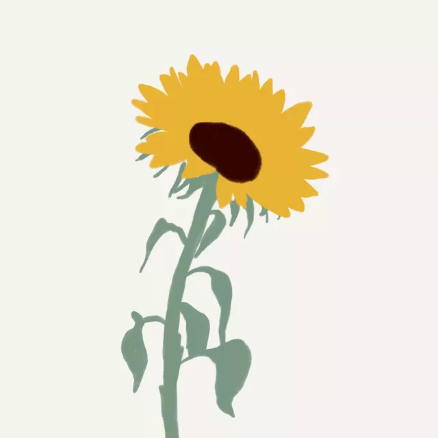 Kissen Sonnenblume