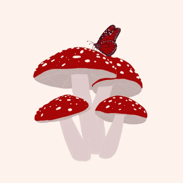 Kissen Fliegenpilze mit Schmetterling