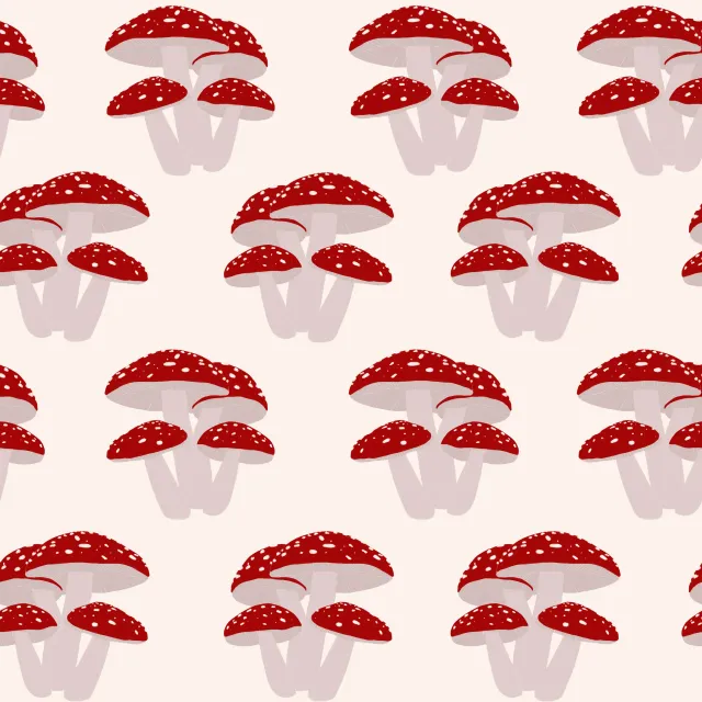 Kissen Fliegenpilze Pattern