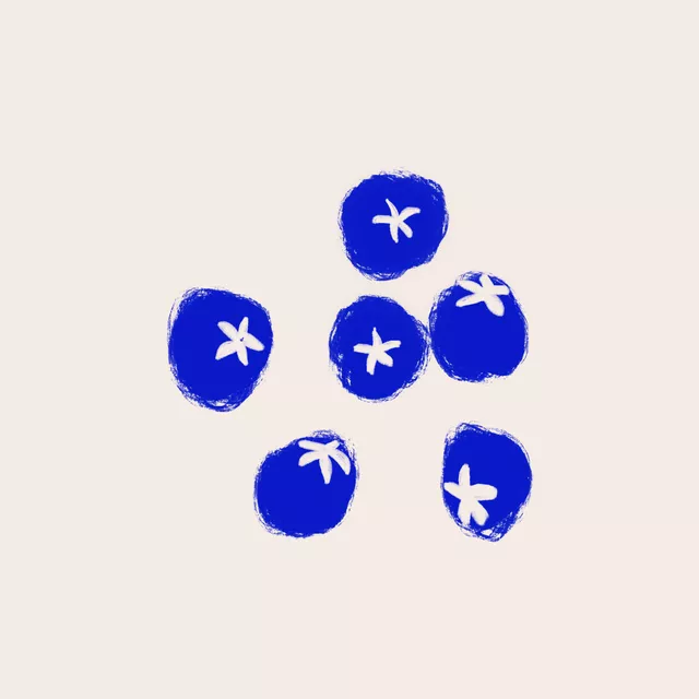 Kissen Blaubeeren Esstisch