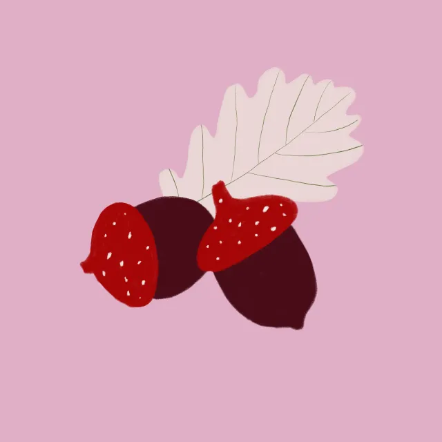 Kissen Eicheln Rosa