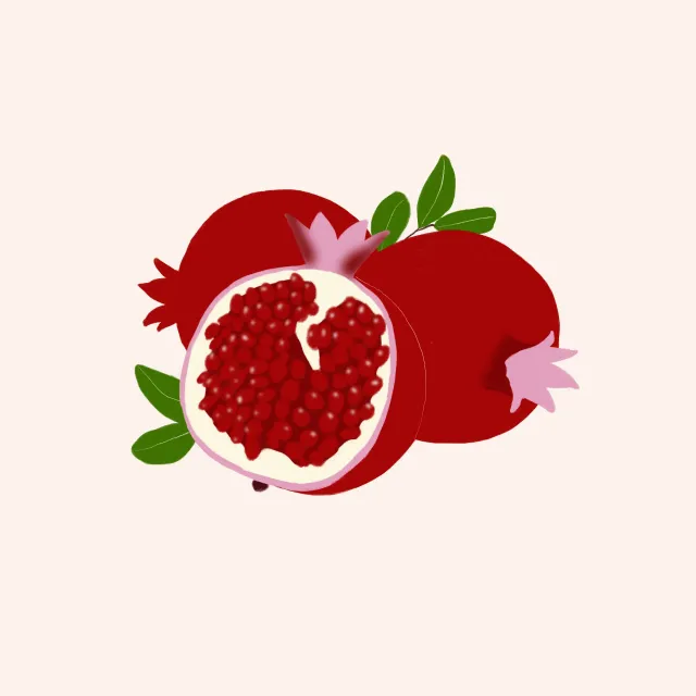 Kissen Granatäpfel
