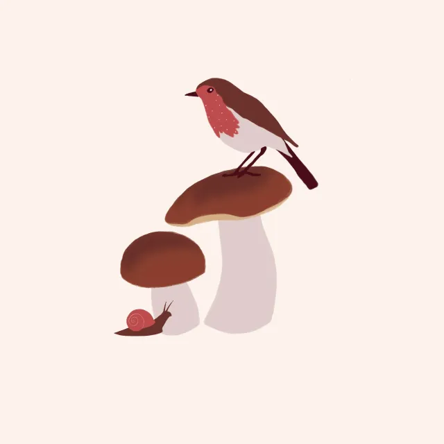 Kissen Steinpilze mit Vogel Beige
