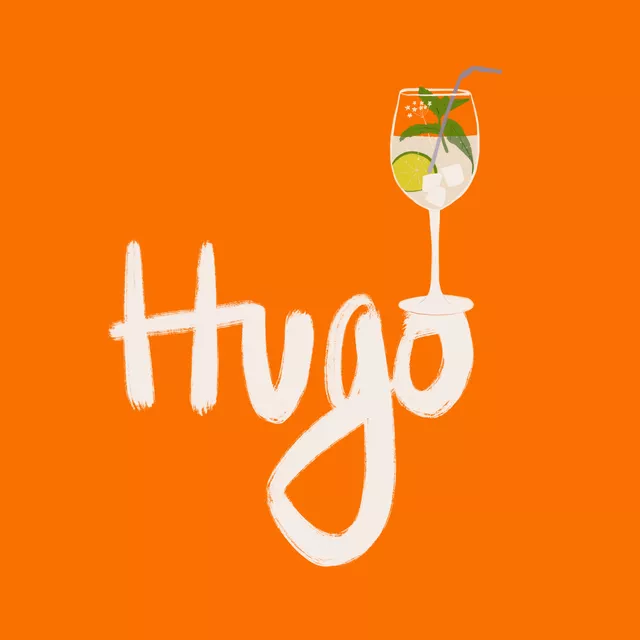 Kissen Hugo Typo Orange