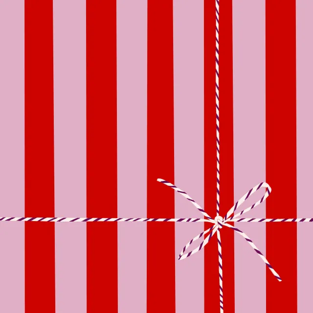 Kissen Geschenk Streifen Rot Pink Schleife