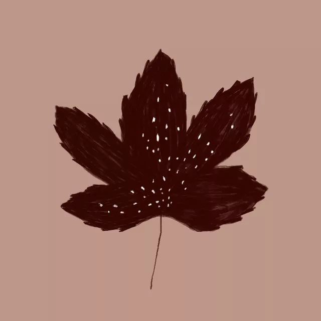Tischset Ahornblatt Braun Rose