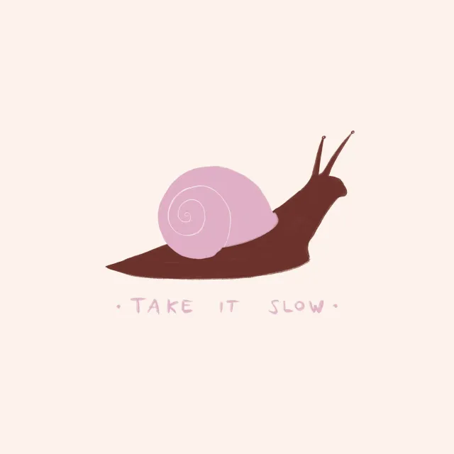 Kissen Schnecke take it slow
