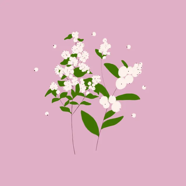 Kissen Schneebeere Rosa
