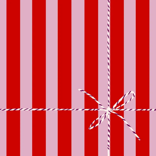 Kissen Geschenk Streifen Rot Pink Schleife