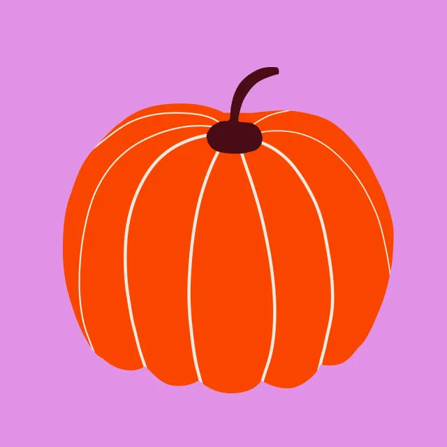 Kissen Orange Pink