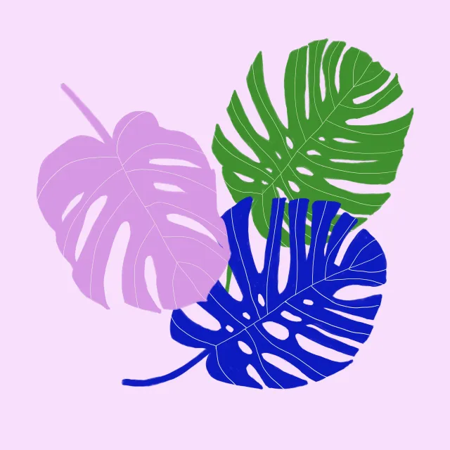 Kissen Monstera Blätter bunt