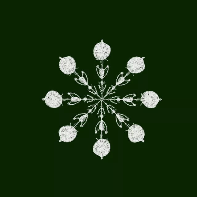 Geschirrtücher Schneeflocke Dunkelgrün