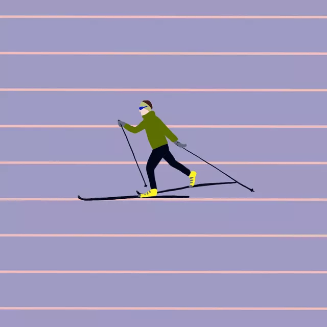 Kissen Langlauf Streifen