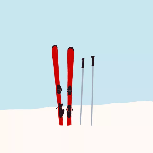 Sitzkissen Skier