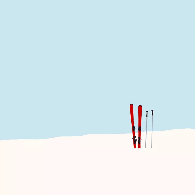 Kissen Skier