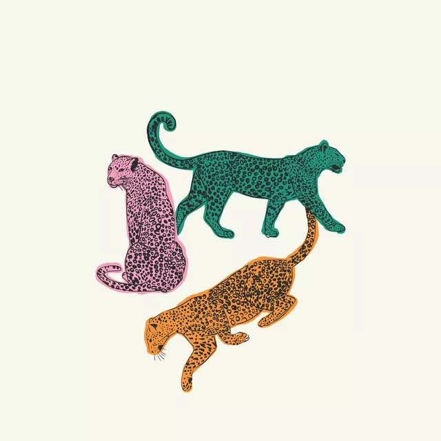 Kissen Cheetas Leoparden Bunt