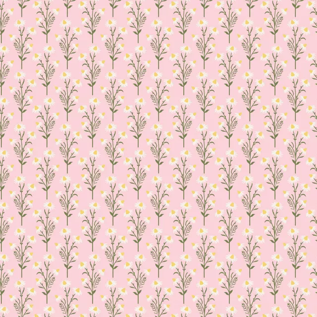 Kissen Kamillenblüte Rosa Weiß