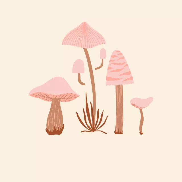 Tischset Waldpilze Rosa
