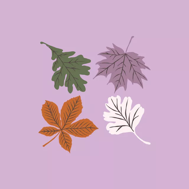 Kissen Herbstblätter Lila Bunt