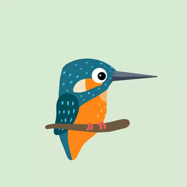 Bettwäsche Eisvogel mit Türkis