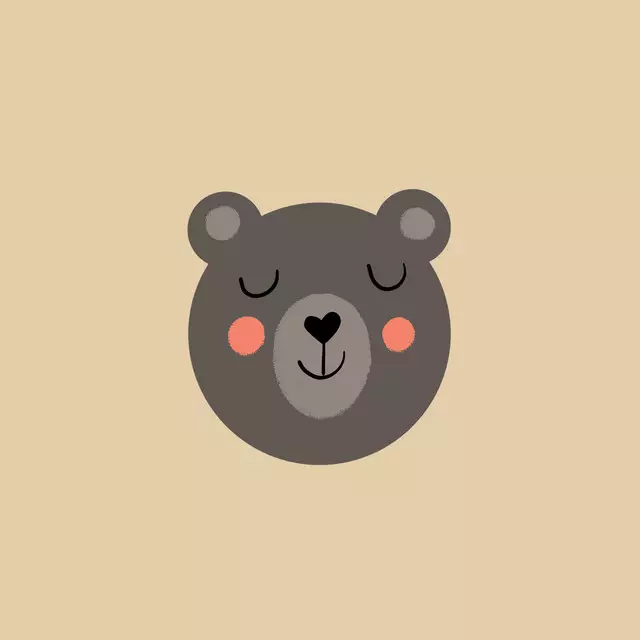 Kissen Braunbär